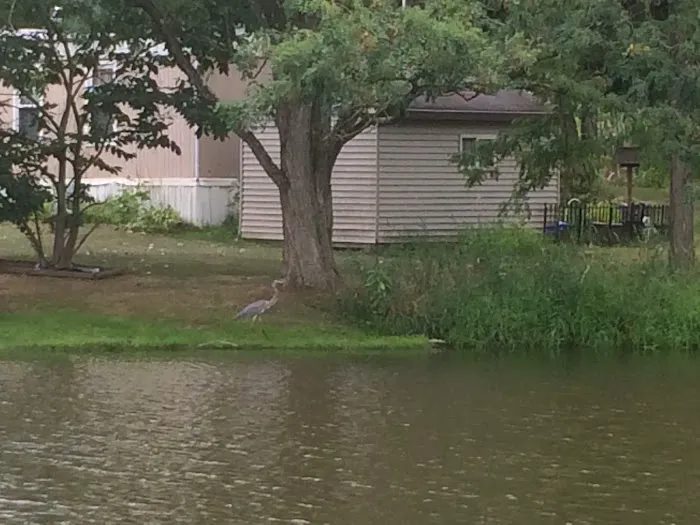 Spring Lakes Mobile Home Park Picture 1