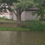 Spring Lakes Mobile Home Park