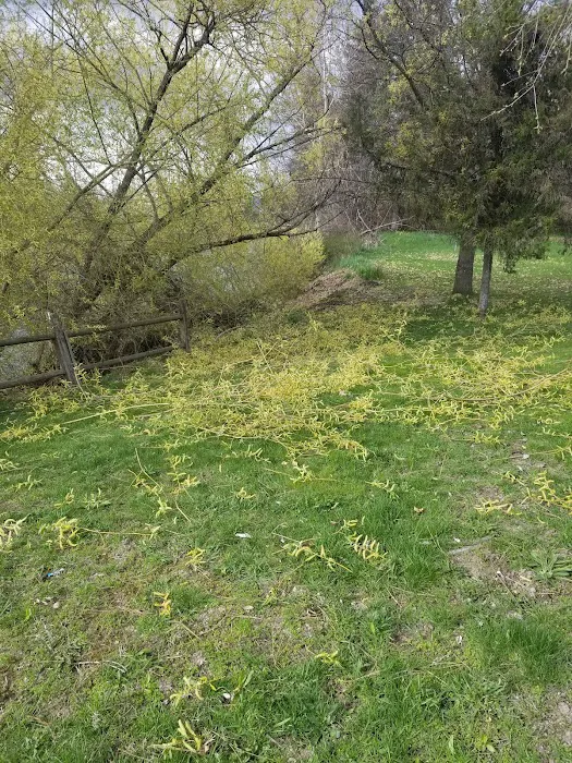 Calispel Creek RV Court Picture 2