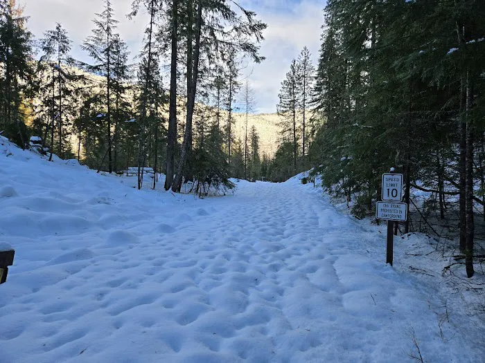 Browns Lake Campground Picture 5