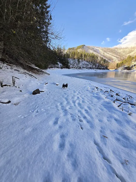 Browns Lake Campground Picture 3