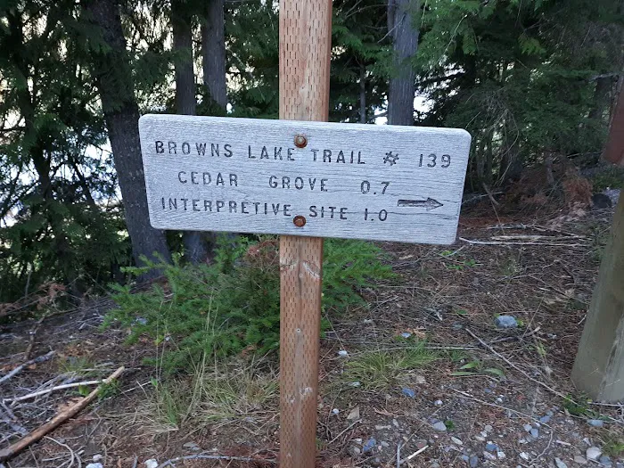 Browns Lake Campground Picture 8