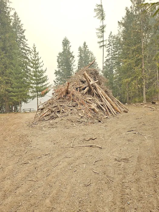 Browns Lake Campground Picture 9