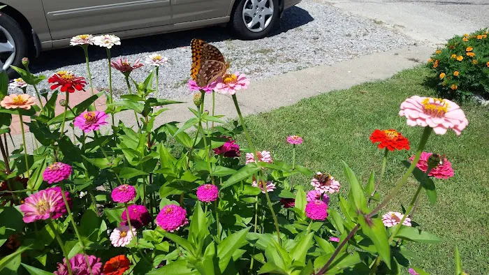 Suburban Terrace Mobile Home Picture 1