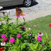 Suburban Terrace Mobile Home ico