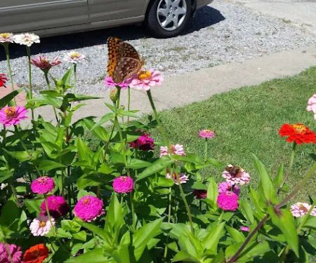 Suburban Terrace Mobile Home