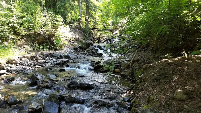 Noisy Creek Campground Picture 6