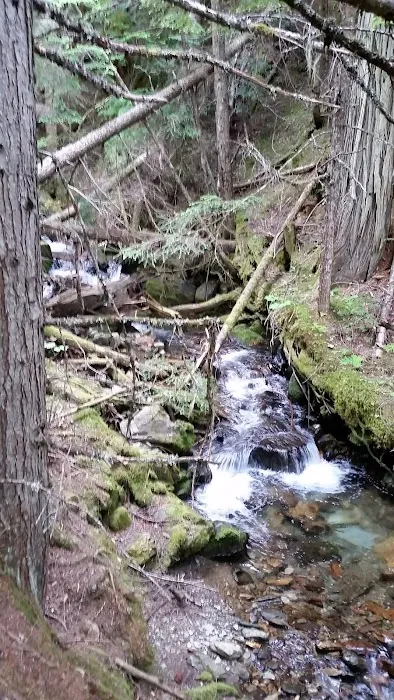Noisy Creek Campground Picture 9