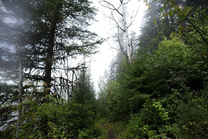 Noisy Creek Campground Picture 10
