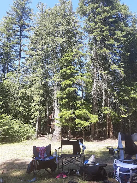 West Sullivan Campground Picture 9