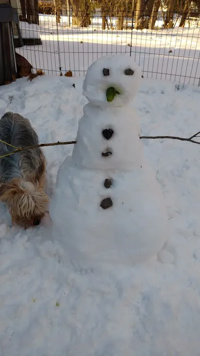 Locust Grove Park Picture 1