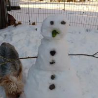 Locust Grove Park ico