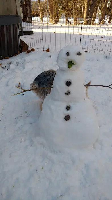 Locust Grove Park Picture 2