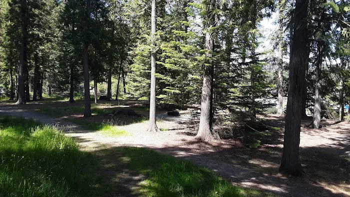 Albeni Cove Campground Picture 5