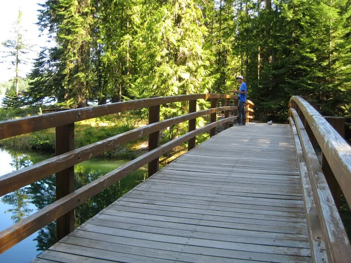 Albeni Cove Campground Picture 4