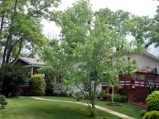 Virginia Hills Manufactured Home Community Picture 1