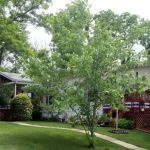 Virginia Hills Manufactured Home Community