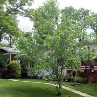 Virginia Hills Manufactured Home Community ico