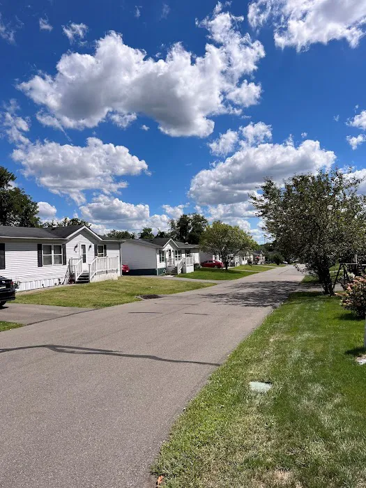 Pin Oak Estates Picture 6