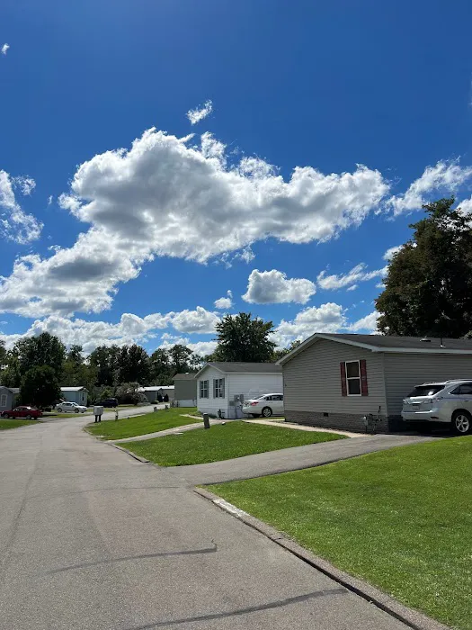 Pin Oak Estates Picture 8