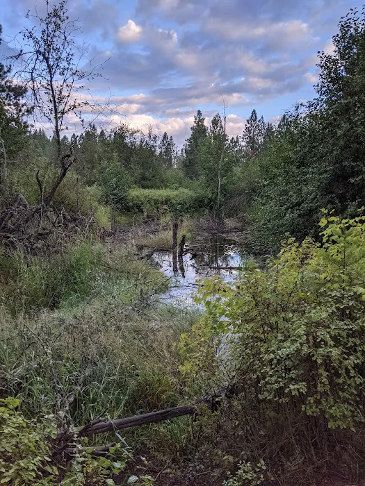 Liberty Lake Regional Park Camp Ground Picture 5