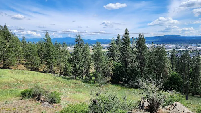 Liberty Lake Regional Park Camp Ground Picture 2