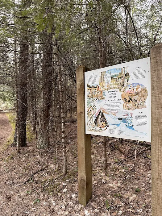 Pioneer Park Campground Picture 6