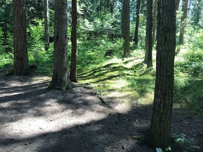 Pioneer Park Campground Picture 9