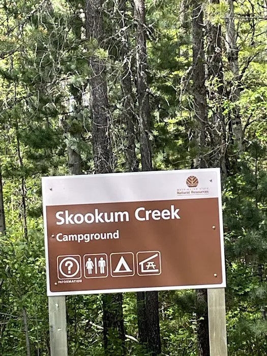 Skookum Creek Campground Picture 3