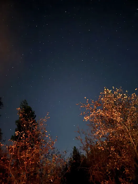 Skookum Creek Campground Picture 1