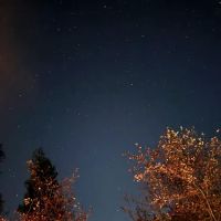 Skookum Creek Campground ico