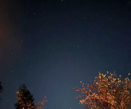 Skookum Creek Campground