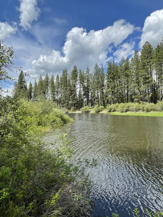 Skookum Creek Campground Picture 9