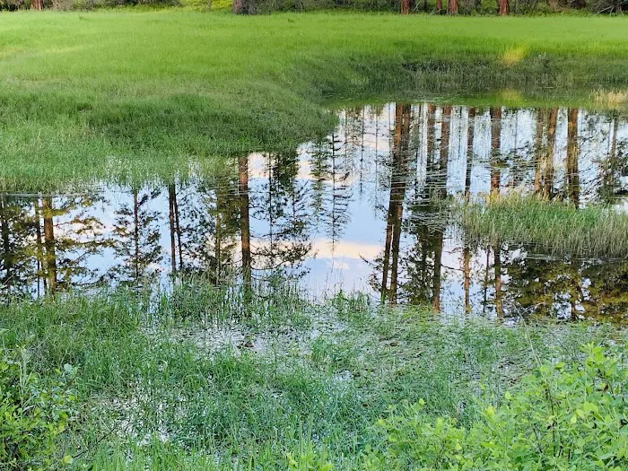 Skookum Creek Campground Picture 7