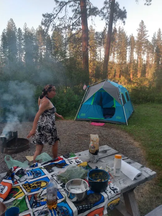 Skookum Creek Campground Picture 8