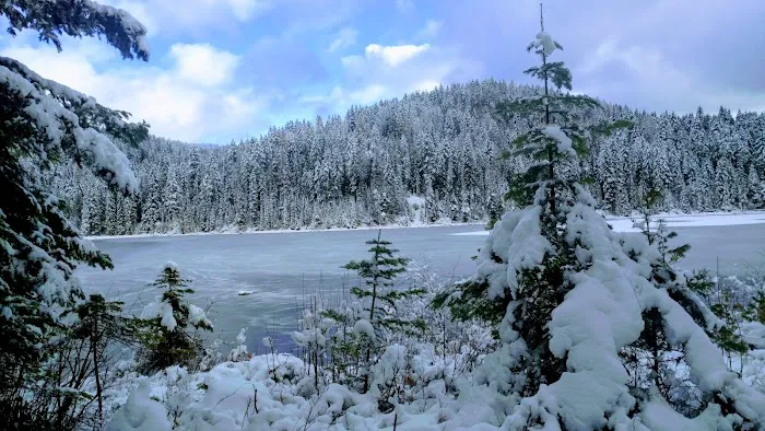 South Skookum Lake Campground Picture 9