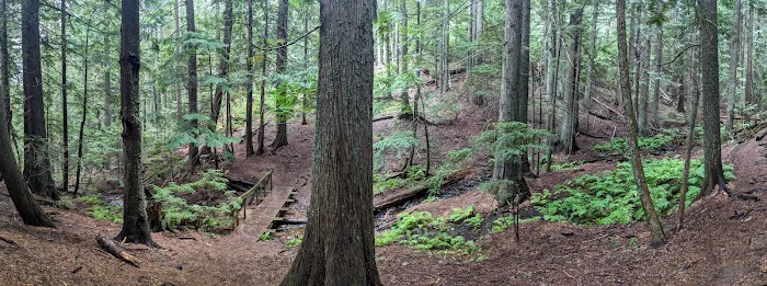 Camp Hughes Cabin Area Picture 8