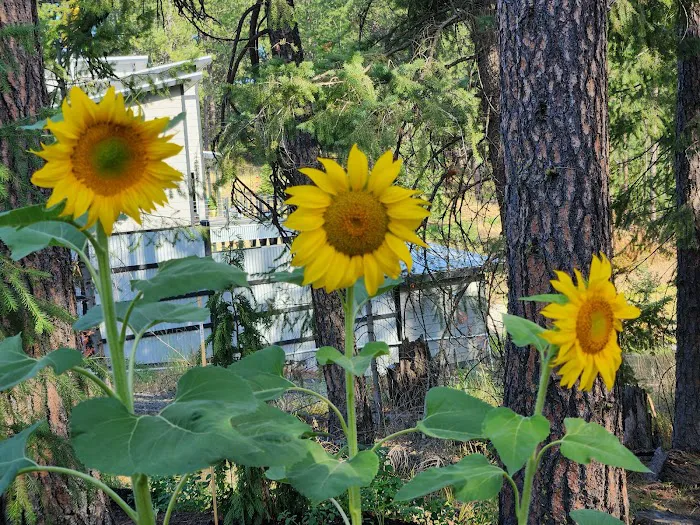 B&B Flower Farm & RV boutique camping Picture 3