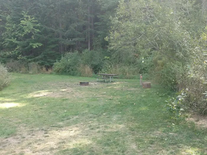 Mica Bay Boater Park Picture 9
