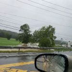 Pine Tree Mobile Home Park