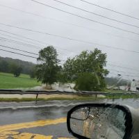 Pine Tree Mobile Home Park ico