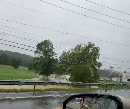 Pine Tree Mobile Home Park