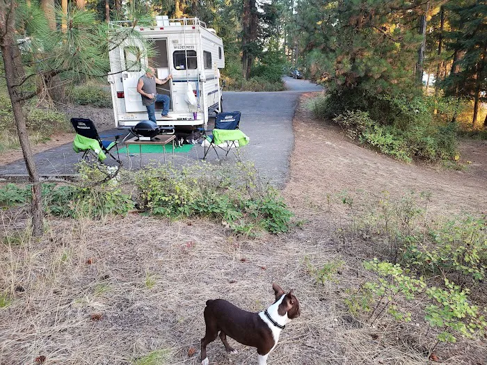 Bell Bay Campground Picture 6