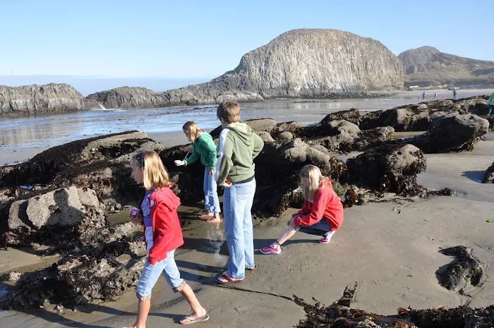 Waldport / Newport KOA Journey Picture 4