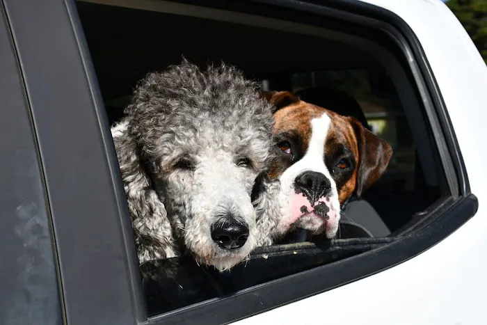 Waldport / Newport KOA Journey Picture 5