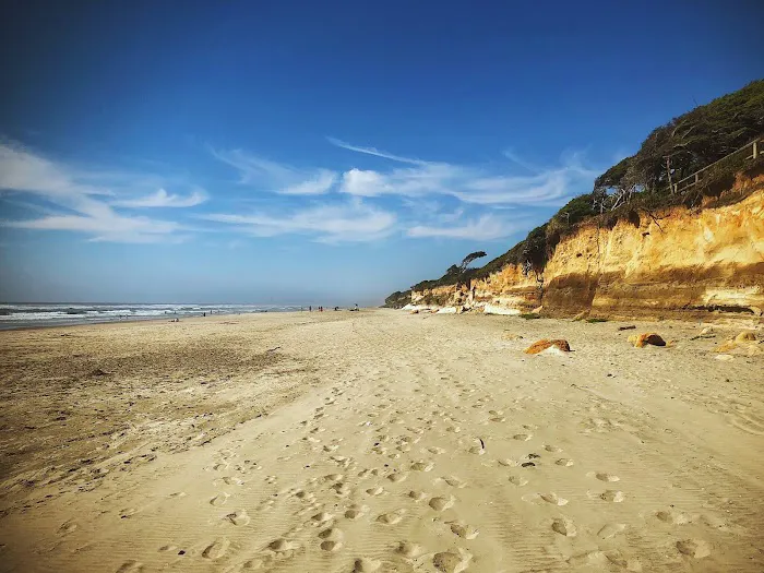 Tillicum Beach Campground Picture 3