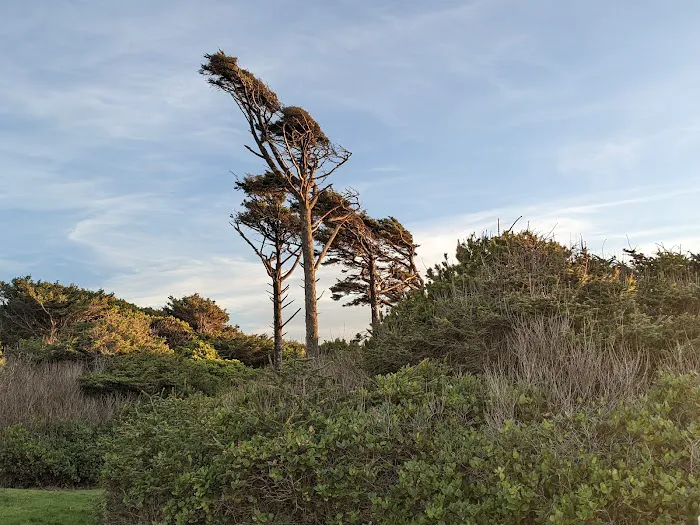 Tillicum Beach Campground Picture 9