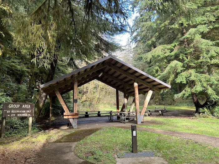 Cape Perpetua Campground Picture 1