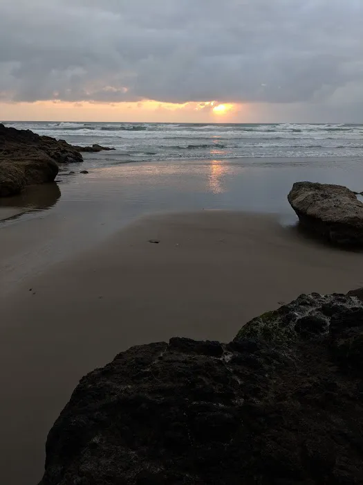 Cape Perpetua Campground Picture 10