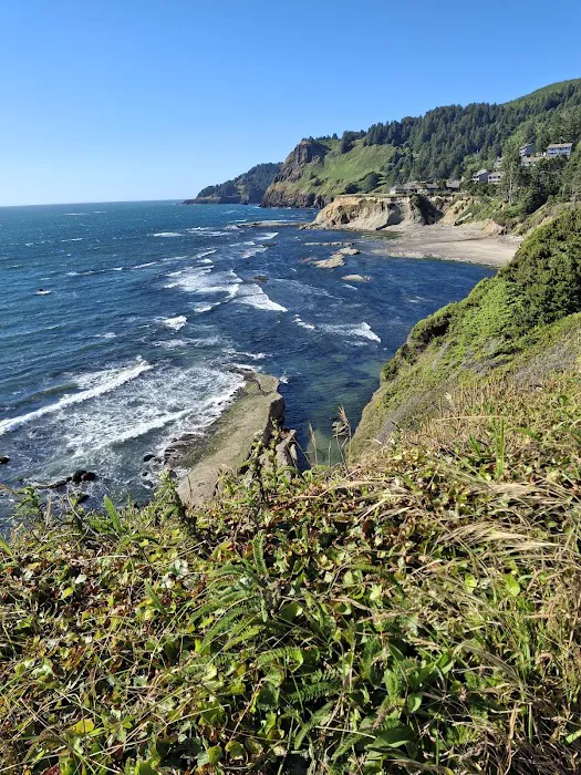 Cape Perpetua Campground Picture 3